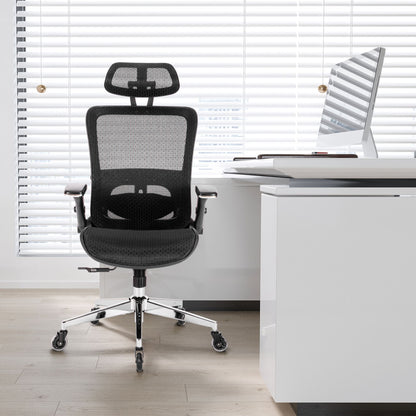 Ergonomic Mesh Office Chair