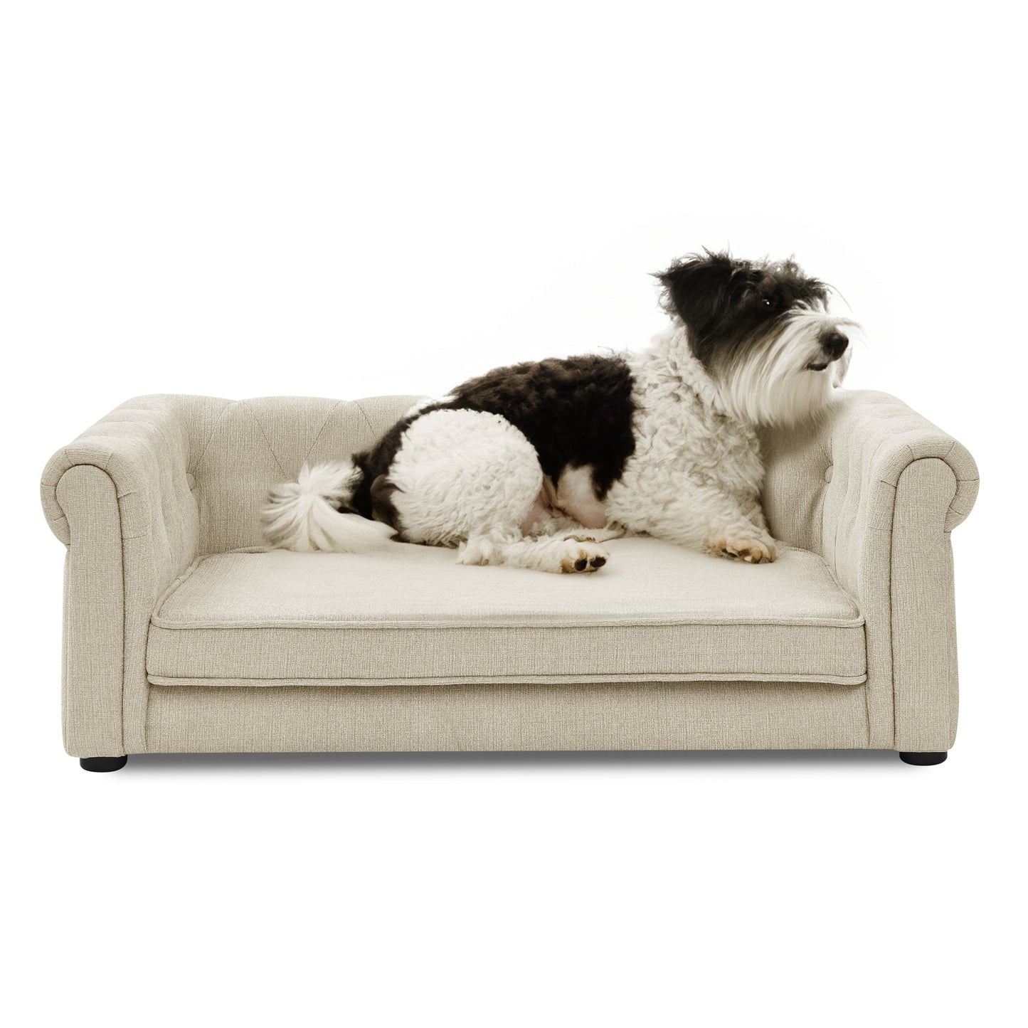 Elegant Rectangle Pet Bed