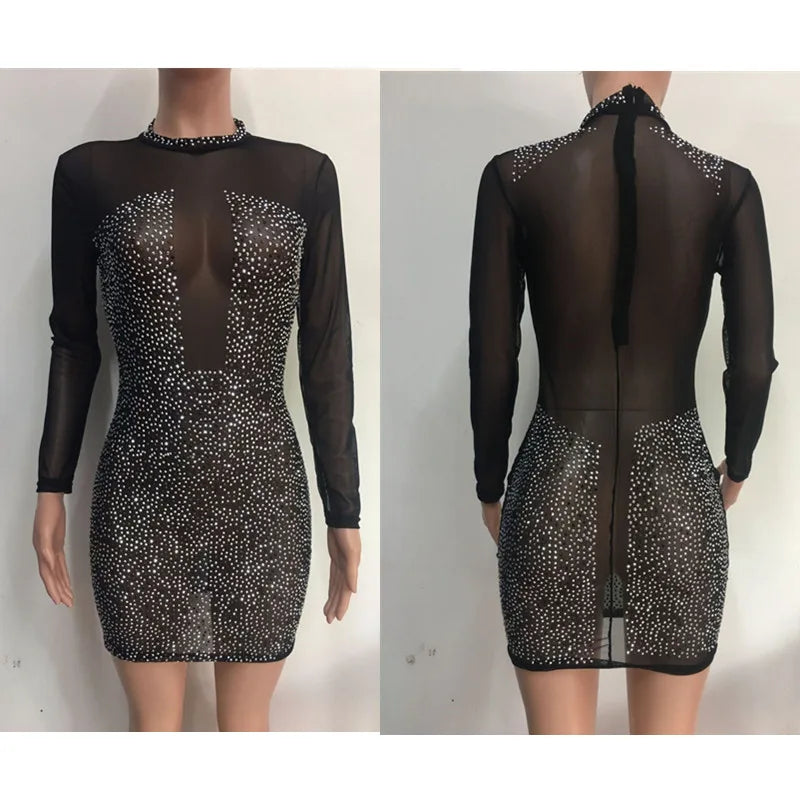 Long-sleeved Mesh Perspective Dress